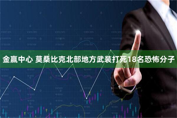金赢中心 莫桑比克北部地方武装打死18名恐怖分子