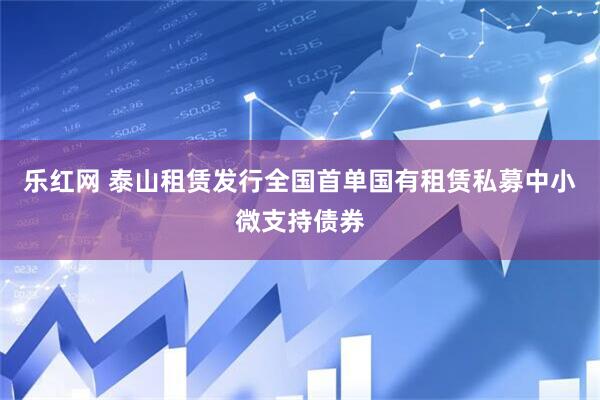 乐红网 泰山租赁发行全国首单国有租赁私募中小微支持债券